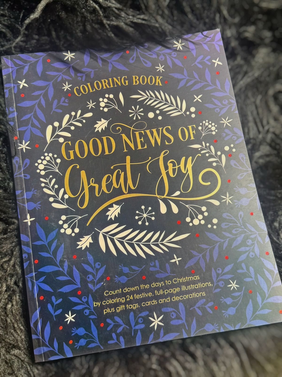 Good News Of Great Joy Coloring Book