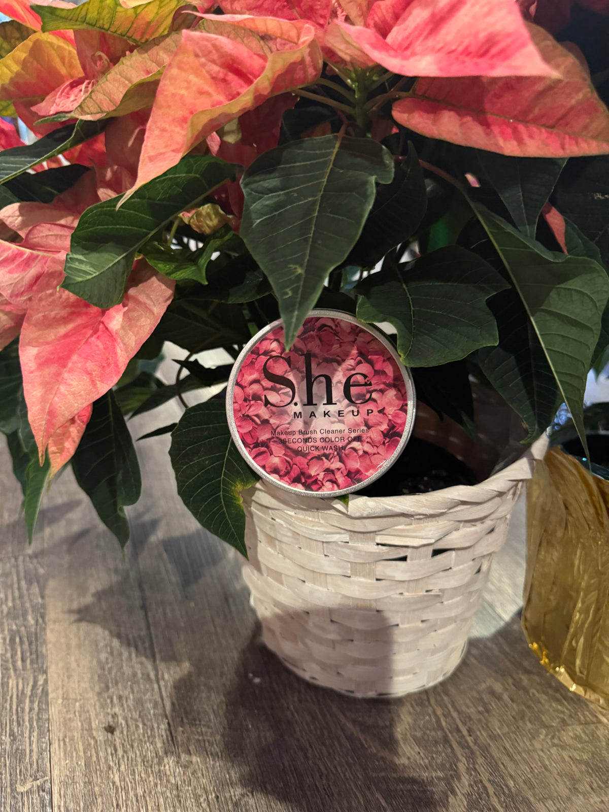 Makeup Brush Cleaner